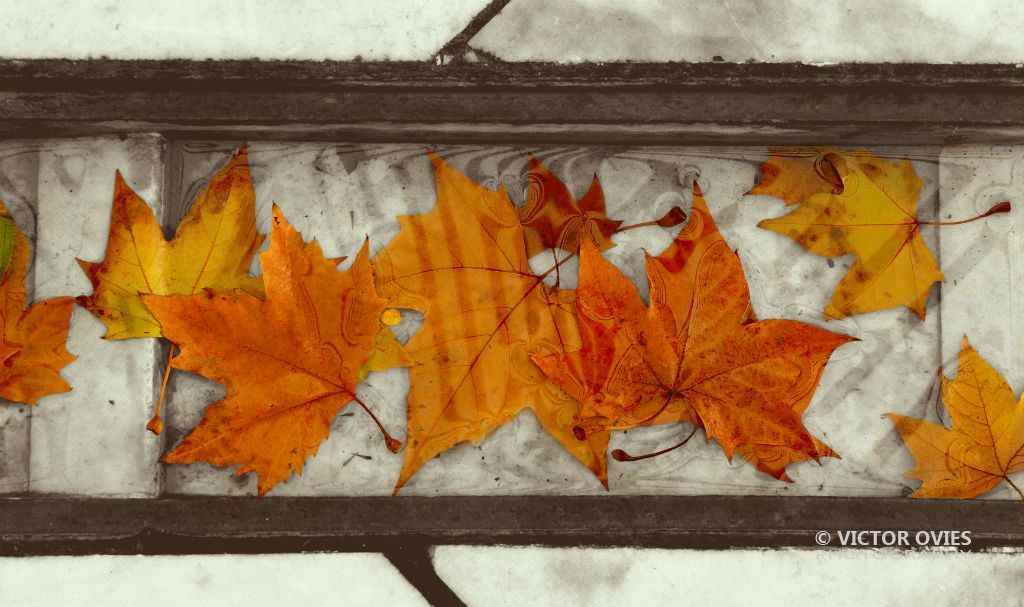 Priego - Otoño
